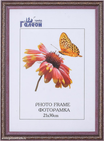 648606.jpg