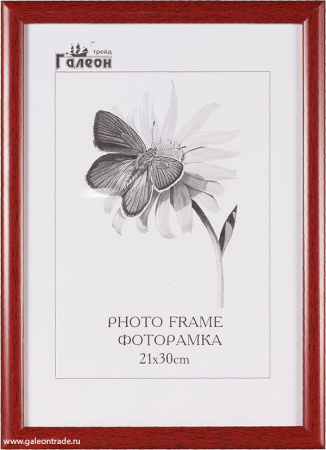 Фоторамка 21х30 /10003-5/