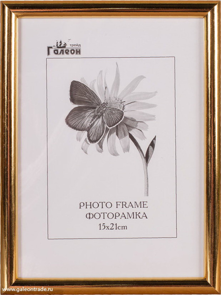 Фоторамка 15x21/1302A-004C/