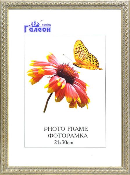Фоторамка 21х30 /1606C-A10/
