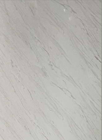 738460