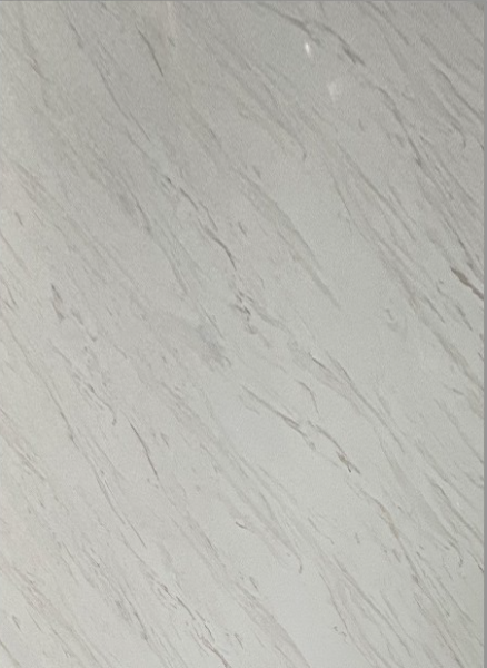 738460