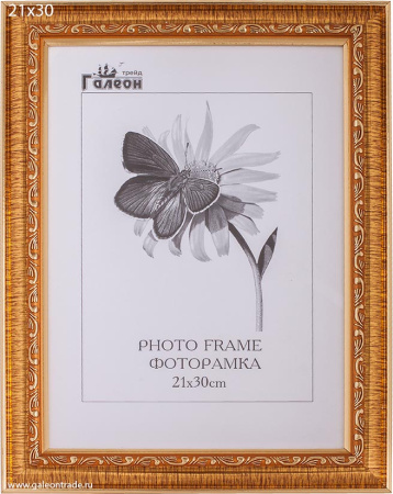 Фоторамка 21х30 /3004С-056А1/
