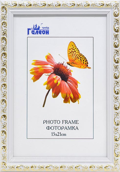 Фоторамка 15х21 /2025C-012AL1/