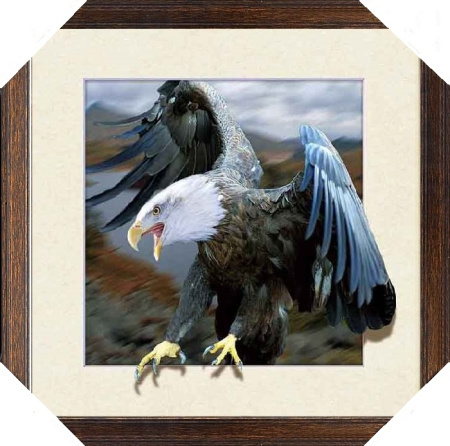 Картина 5D 40х40 Орлан / 006 /DS2514-621/