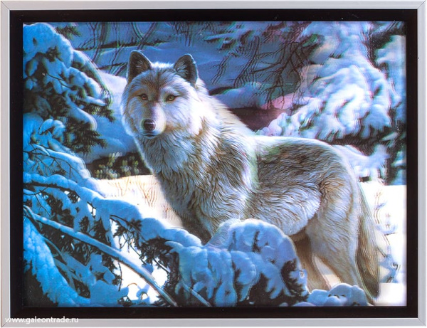 650065.jpg