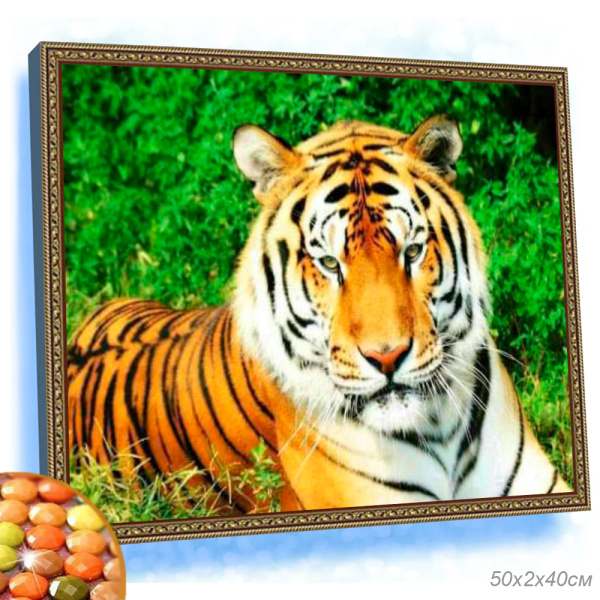 Картина из страз 40x50 / YSG1851 /уп 30/ (50)