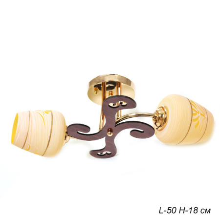 Основное фото