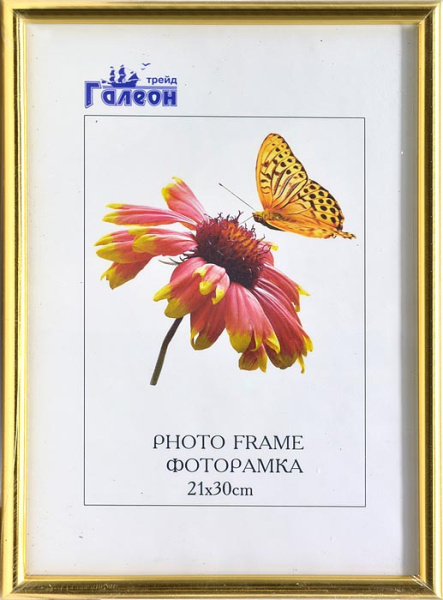 Фоторамка 21х30 /1302A-004C/