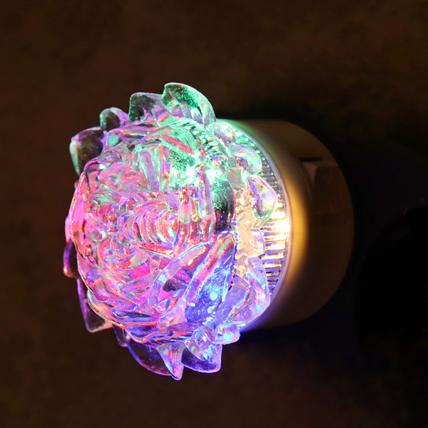 685437-2.jpg