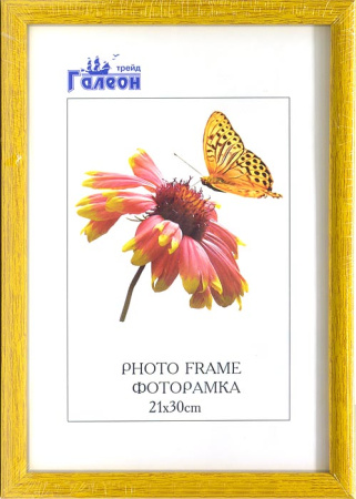 Фоторамка 21х30 /10003-3/