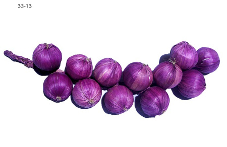 Муляж 33-13 /уп.220/