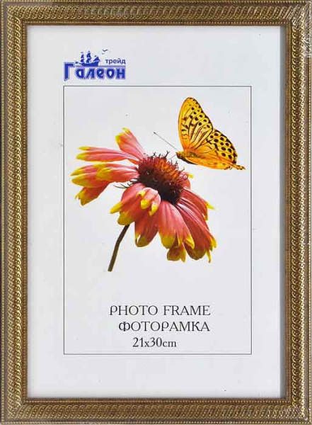 Фоторамка 21х30 / 1905C-194X /уп10/