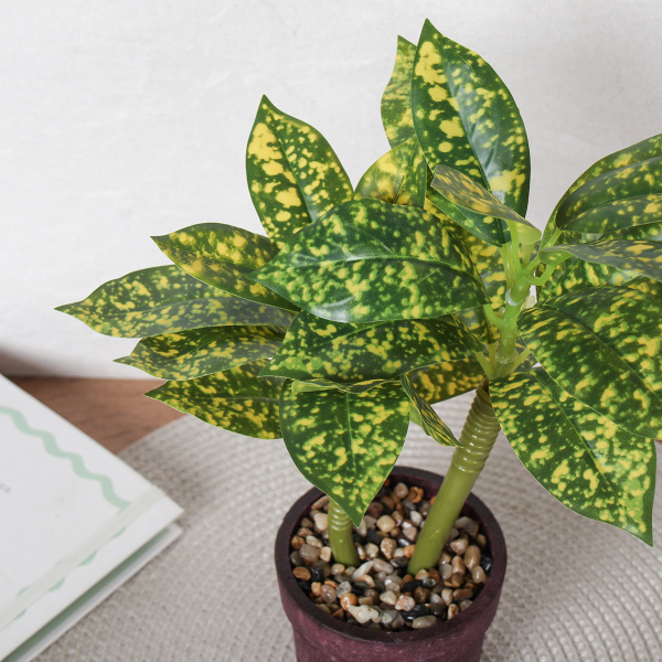 722475!В крапинку-1.jpg