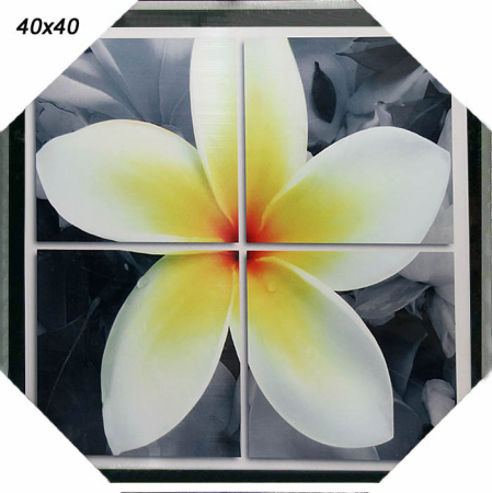 Картина глянцевая 40x40 HA-4267/2002B-012C/