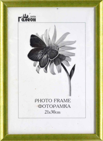 Фоторамка  21х30 /10003-6/