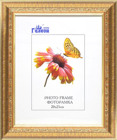 Фоторамка 20х25 /3004С-056А1/