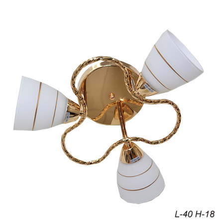 Основное фото