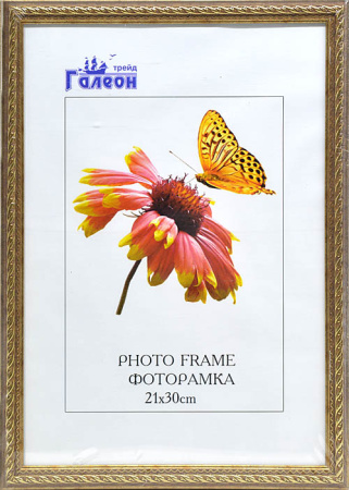 Фоторамка 21х30 /1606C-A09/