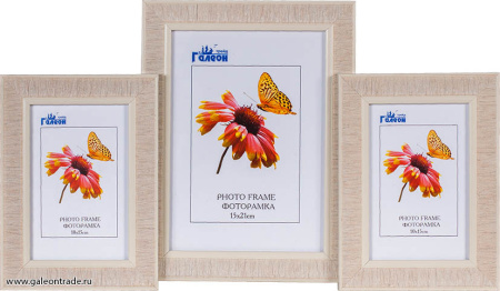Фоторамка коллаж 3 штуки /KS2812-290/ 15х21-1, 10х15-2