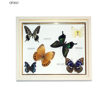 Картина-коллаж 30*34 QF3021 /уп.30/