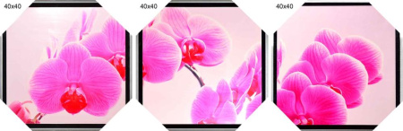 Картина-триптих 40х40 HA-298,299,300 /2002B-012C /уп3/