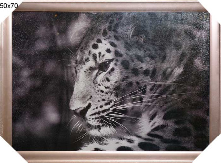 Картина на твёрд.осн. 50*70 К470/LS 935-1/пл