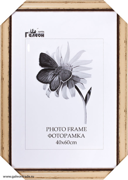 Фоторамка 40х60 /4205С-213А/