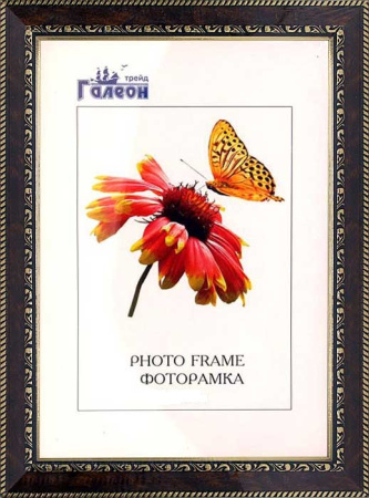 Фоторамка 30х40 /WB3016-1G/
