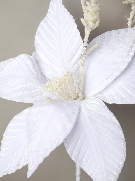 758040-2.jpg