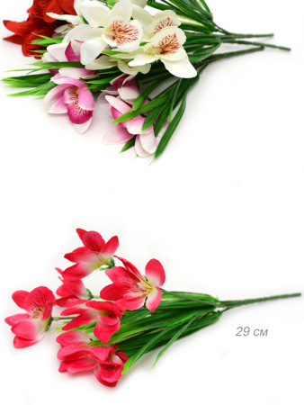 640969_2.jpg