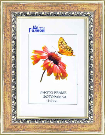 Фоторамка 15х21 /F3902-120/
