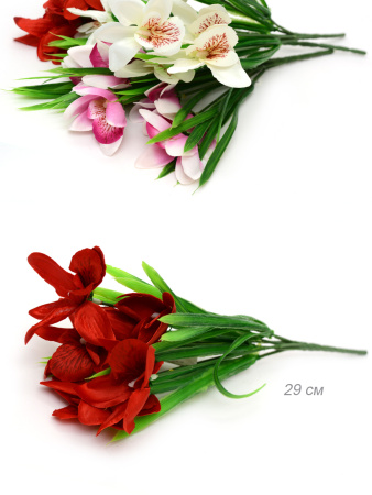 640969_6.jpg