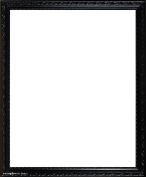702795.jpg