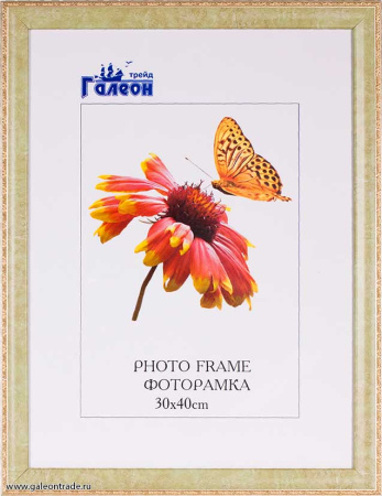 Фоторамка 30х40 / 10122-3 /