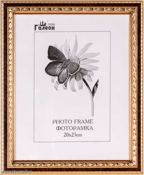 Фоторамка 20х25/10095-4/