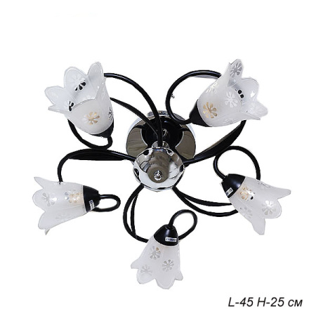 Основное фото