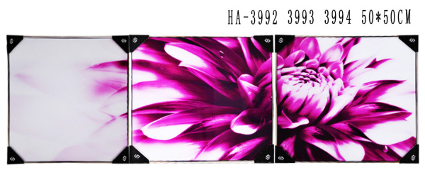 Картина - триптих 50*50 HA-3992,3993,3994 /уп.3/12/