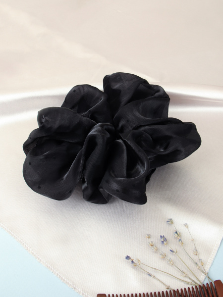 747039!Черный горох.jpg