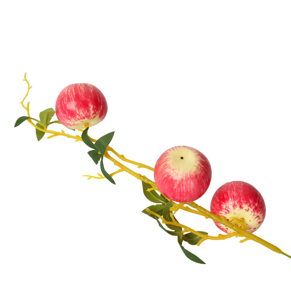 731701-2.jpg