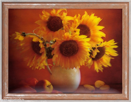 622251.jpg