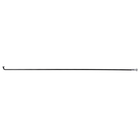 753013.jpg
