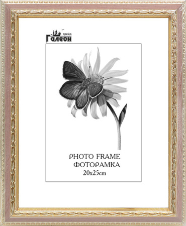 Фоторамка 20х25/10095-3/