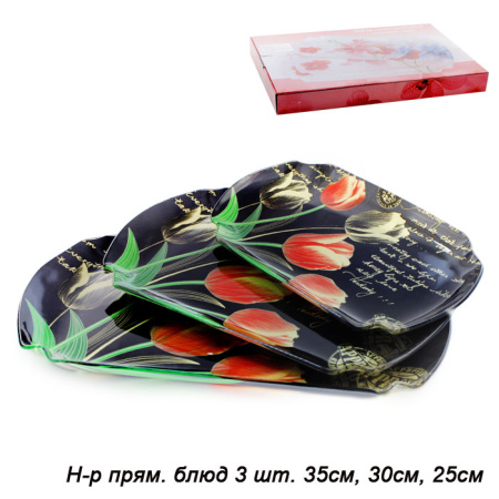 Тарелки прямоугольные 3 предмета / S3800/3-J065 /уп 8/