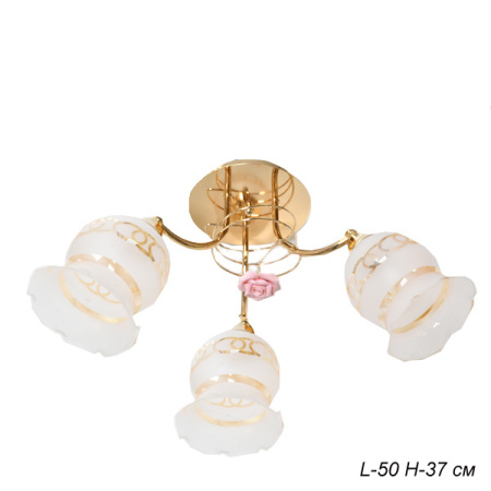 Основное фото