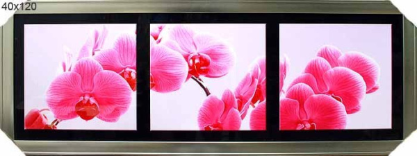 Постер в раме 40x120 Орхидеи1 HA-298,299,300 /KS4720-2/