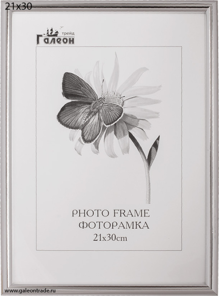 Фоторамка 21х30 /1302A-004D/