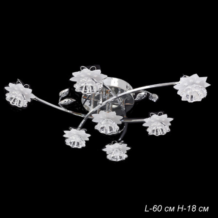 Основное фото