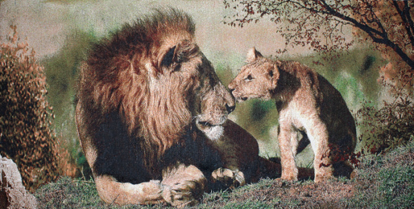 Гобелен полотно 40*57 D037