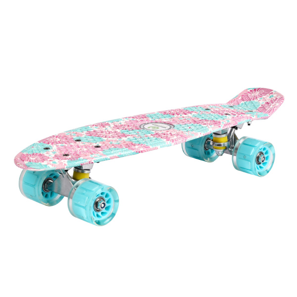 750601-4.jpg